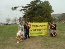 Colaborando con Greenpeace por la Ley de Bosques Nativos en el Senado